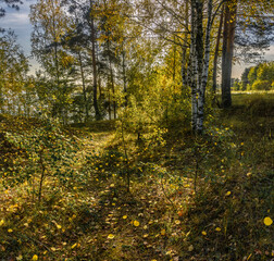 Obraz premium Beautiful autumn evening on the bank of the quarry.