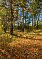 Beautiful autumn evening on the bank of the quarry.