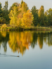 Beautiful autumn evening on the bank of the quarry.
