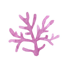 Cute coral in summer set. Hand drawn watercolor illustration for greeting cards, posters, stickers and seasonal design.