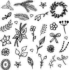 Hand drawn winter leaves and branches. Perfect for invitations, greeting cards, quotes, blogs, Wedding Frames, posters, and more. Plant leaf feather and fir tree branch Christmas holiday element