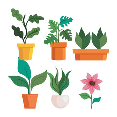 Gardening plants insde pots and flower design, garden planting and nature theme Vector illustration