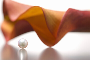 真珠とカラー