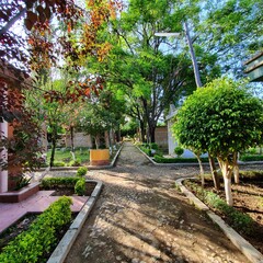 Hermosa mañana en el cementerio