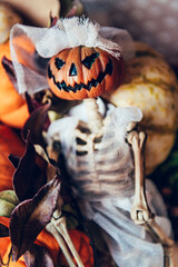 Different types of pumpkins and decorations in the box. Skeleton with pumpkin head in bridal oufit