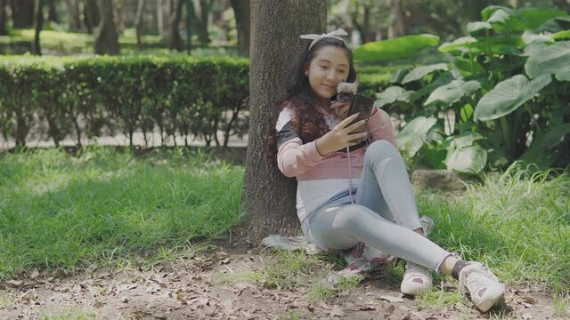 Video de stock

Chica guapa, adolescente jugando con su perro chihuahua en el parque, Vista lateral de una feliz hispana sentada en el césped al aire libre en el parque de otoño. perro mascota