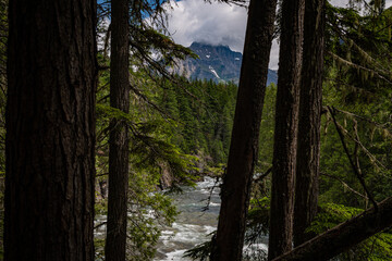 The family going on a great trip to Glacier National Park.