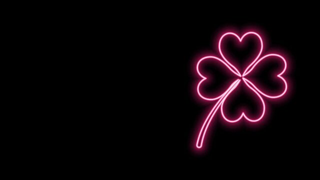 Glowing neon line Four leaf clover icon isolated on black background. Happy Saint Patrick day. 4K Video motion graphic animation