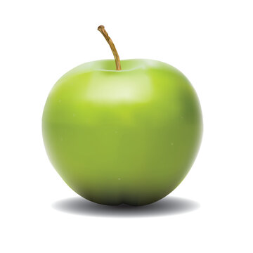 green fresh apple, vector 