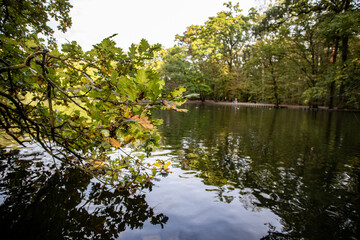 Fototapeta na wymiar lake in the park