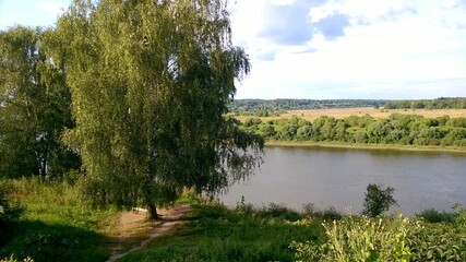 Летняя природа России. Речка и лес.