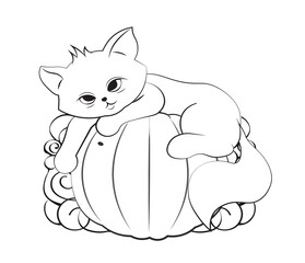 cat on pumpkin Coloring book