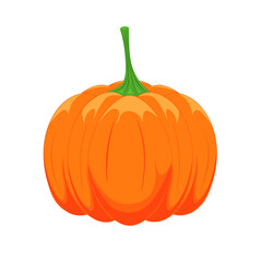 Orange pumpkin vector illustration, Autumn harvest, pumpkins for Halloween , plant graphic icon or print isolated on white background.