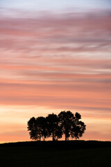 Silhouette of Trees on Hill with Colorful Sky