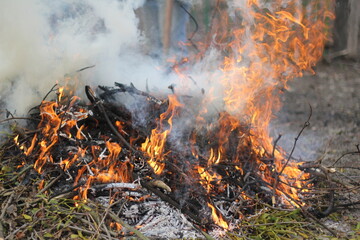 fire in the garden