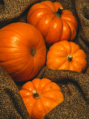 pumpkins on the market