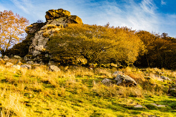 Naturaleza en anochecer durante la subida la monte Adarra del País Vasco