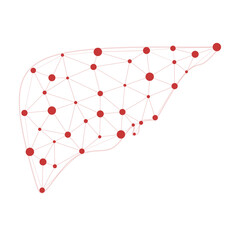 Liver health low poly wireframe. Polygonal anatomic model of human liver made of stars, lines, dots, triangles. Medical and anatomy concept. Cirrhosis and hepatitis medical treatment, transplantation 