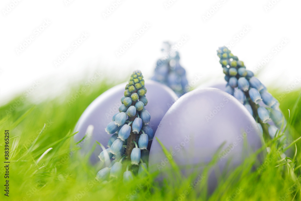 Wall mural easter eggs