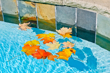 Fall leaves floating in pool