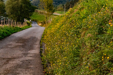 Naturaleza en anochecer durante la subida la monte Adarra del País Vasco