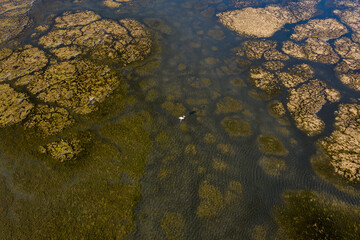 Aerial view of a shallow lagoon with wetland and calm water.
