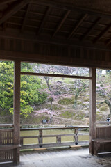 奈良公園の浮舟堂