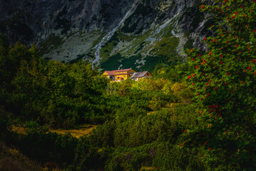 Dolina Kieżmarska, Dolina Białej Wody Kieżmarskiej - Tatry Słowacja © grzegorz_pakula