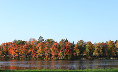 October autumn park in Russia, lake with red leaves and reflection in the lake, Aleksandrovsky park, Tsarskoe Selo, Leningrad region. Autumn landscape, seasons.