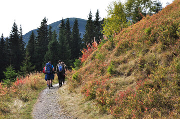 Fototapeta premium hiking in the mountains