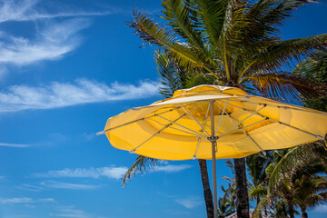 Obraz na płótnie Canvas A bright yellow beach umbrella right before palm trees and beautiful blue sky with white clouds and a flying see gull.