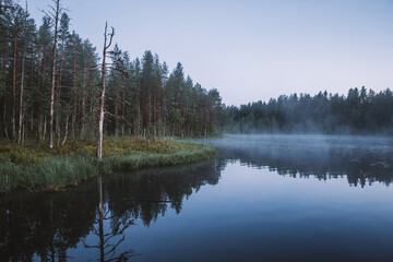 The foggy summer evening in tne north of Karelia
