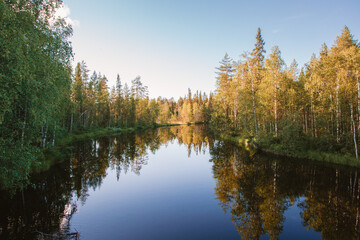 Fototapeta na wymiar The picturesque view of the Karelian forest