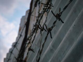 Rusty barbed wire in front of an iron fence