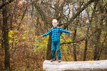 Naklejka premium Preteen boy balance on fallen tree trunk