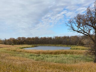 landscape with lake