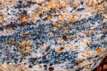 Sea stone texture. Panel texture. Background fill. Natural stone background.