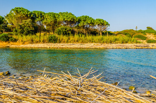 Cassibile river mouth next to Gelsomineto beach, Sicily, Italy