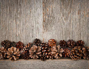 Wood background with pine cones