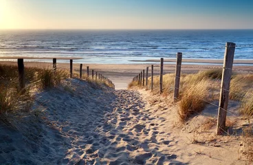 Peel and stick wall murals North sea, Netherlands path to North sea beach in gold sunshine
