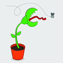 A carnivorous plant eating a fly