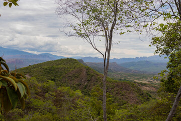 landscape with trees and clouds