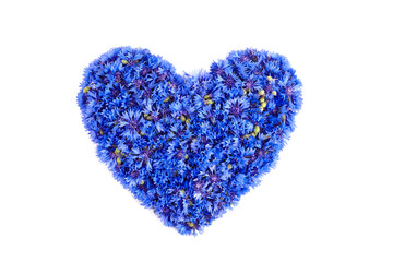 Floral background - blue cornflowers heart isolated on white