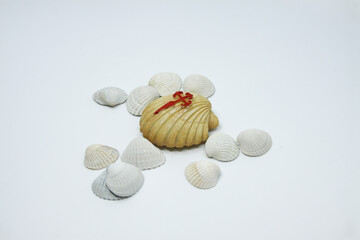 Seashell of St. James with a bloody red cross. Symbol of pilgrims. Road sign in pilgrimage to Santiago de Compostela.