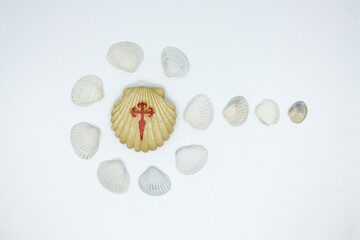 Seashell of St. James with a bloody red cross. Symbol of pilgrims. Road sign in pilgrimage to Santiago de Compostela.