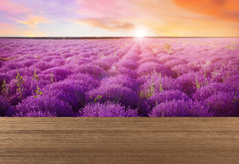 Empty wooden surface in lavender field at sunset