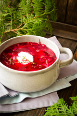 Russian national food red beet soup, borscht . Vertical image
