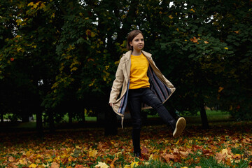 adorable little girl with autumn leaves in the park