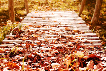 Old wooden bridge from logs in autumn bright fallen leaves, autumn road through the bridge, autumn background, soft focus. 