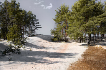 Sand dunes and hills on the coast of the Gulf of Finland